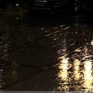 五十岚しのぶ熟女交尾
